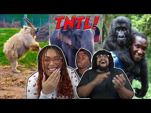 Видео: Casual Geographic Постарайтесь не смеяться: Мы потерпели неудачу!!