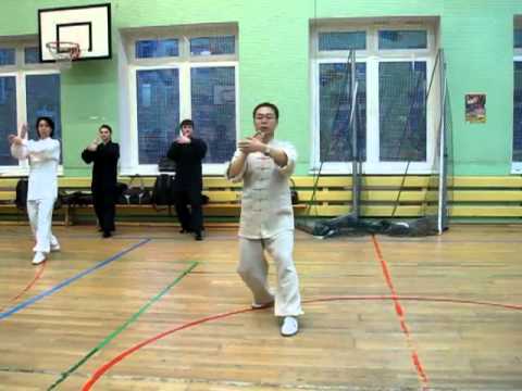 Видео: Ван Лин Тайцзи Ян 24 формы Проработка форм [2]