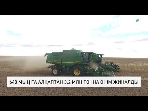 Видео: 640 мың га алқаптан 3,2 млн тонна өнім жиналды