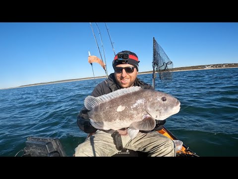 Видео: Рыбалка на каяке в Нью-Йорке (Таутог)