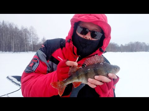 Видео: ОКУНИ на блесну. КЛОП-впайка даёт фору балансирам. Двухдневная рыбалка на Волге.