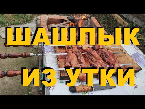 Видео: ШАШЛЫК ИЗ ДИКОЙ УТКИ ОХОТА В ЛИМАНАХ КУБАНИ РЕЦЕПТЫ СЮФ