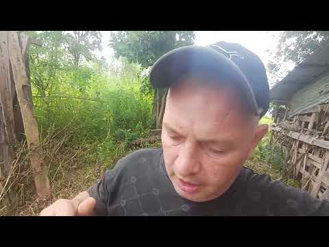 Видео: Законное и бессрочное владение землей иностранцами в Таиланде