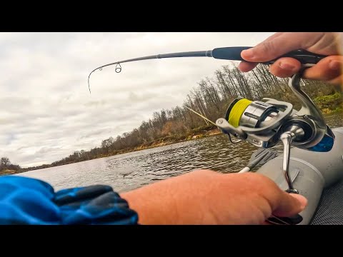 Видео: НЕ ЗРЯ УВЕЛИЧИЛ РАЗМЕР ПРИМАНКИ, ДУШЕВНАЯ РЫБАЛКА на РЕКЕ. Спиннинг в ноябре 2025
