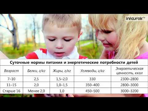 Видео: Значение питания в жизни человека. Лексическая тема. Русский язык 8 класс.