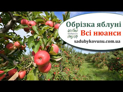 Видео: Обрезка яблони на урожай, все нюансы! Как обрезать взрослую и молодую яблоню. Правила обрезки яблони