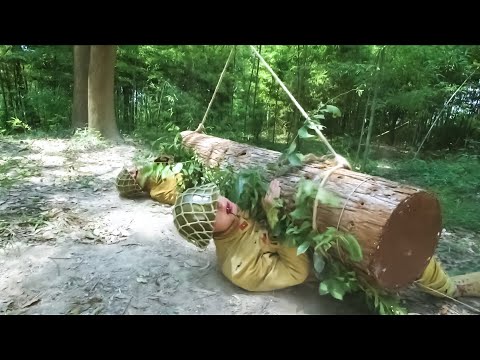 Видео: Охотники Kung Fu установили бесчисленные ловушки и сюжет против преследующей японской армии!