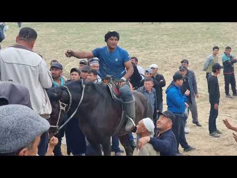 Видео: Каттакургон тумани шурда купкарини олови чикти