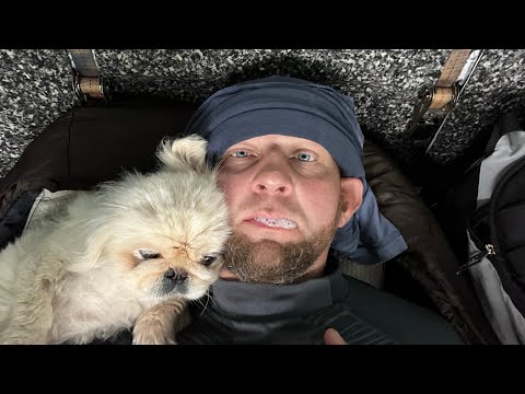 Видео: Помираю! Прощайте! Короновирус нового поколения! Если меня найдут, не подходите близко!!!