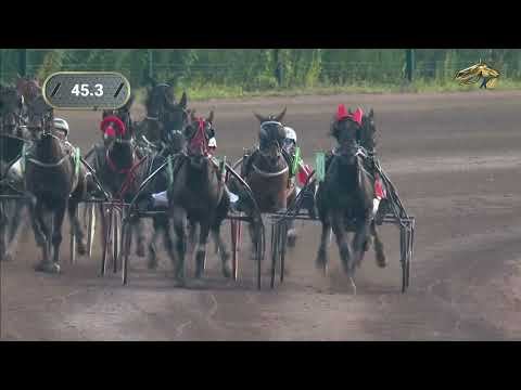 Видео: 7-й Заезд. Финал приза «Элиты». Раменский ипподром. 28 Июля 2024