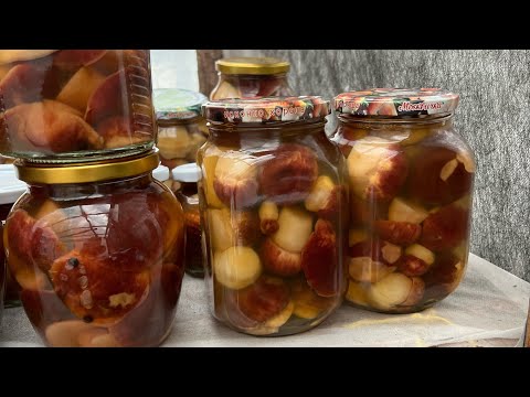 Видео: МАРИНОВАННЫЕ БОРОВИКИ БЕЗ УКСУСА,С СОХРАНЕНИЕМ ЦВЕТА ШЛЯПОК