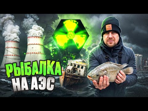 Видео: Рыбалка с ночёвкой на Атомной Электростанции. Ловлю Тилапию в озере Удомля, которое не замерзает