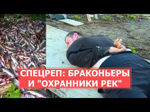 Видео: СПЕЦРЕП: Рейд по браконьерам  и "охранникам рек"