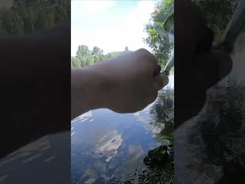 Видео: Плыви и взрослых позови #fishingvideo