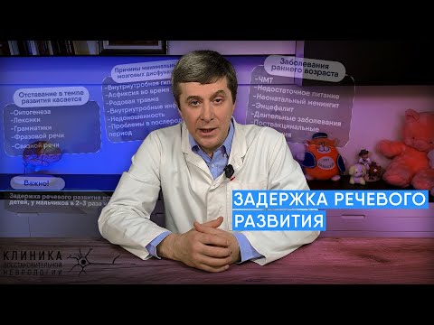 Видео: Задержка речевого развития