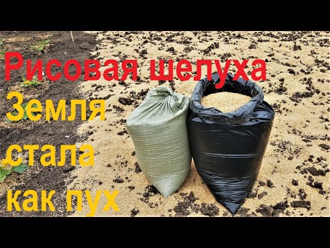 Видео: #64 Рисовая шелуха делает их чернозёма просто пух!