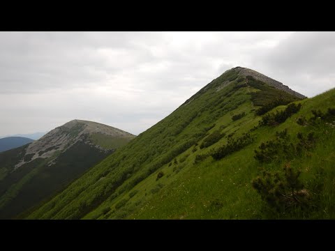 Видео: Карпати. Похід. Стара Гута-Сивуля велика(1836м.)-Сивуля мала(1818м.)