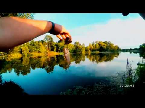 Видео: Южный Буг. Карась на макушатник.