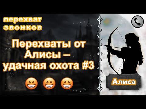 Видео: АЛИСА. Перехваты от Алисы – удачная охота #3