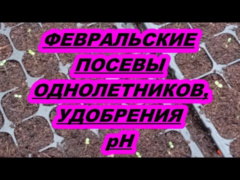 Видео: ФЕВРАЛЬСКИЕ ПОСЕВЫ ОДНОЛЕТНИКОВ.УДОБРЕНИЯ.рН.