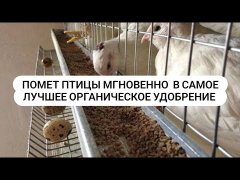 Видео: Удобрение Биогумус из птичьего помета какой лучше