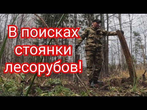 Видео: Металлокоп. Катаемся по лесу, ищем старые стоянки лесорубов!!!