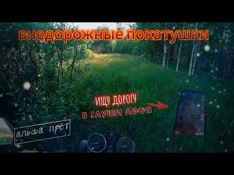 Видео: Исследование старых лесных дорог на мопеде. Лесные покатушки