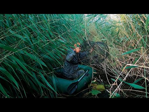 Видео: ПОСТАВИЛИ МОРДУШКИ В САМУЮ ДИЧЬ! ШОК! ВОДА ЗАКИПЕЛА!КАК МОРДУШКИ ЭТО ВЫДЕРЖАЛИ?!