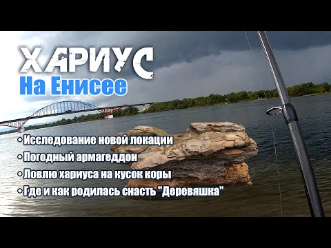 Видео: Хариус на Енисее. Ловля хариуса на кору. Где и как родилась "Деревяшка". Из дневника рыбака-2024.