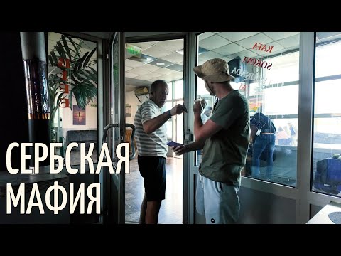 Видео: Серб хочет меня надуть. Путешествие по Сербии - это безопасно?! #сербия #путешествие 