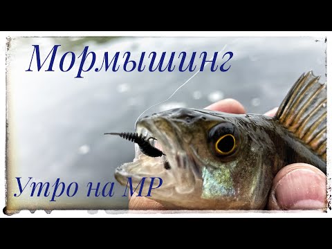 Видео: Мормышинг ! Холодное утро на Москва реке !
