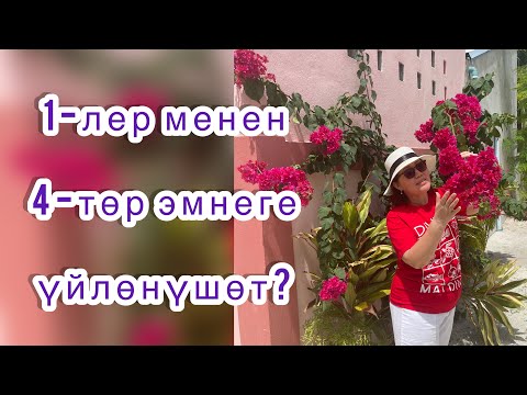 Видео: 1-лер(1,10,19,28) менен 4-төр(4,13,22,31) эмнеге үйлөнүшөт?