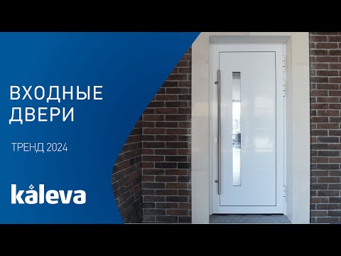 Видео: Входные двери в коттедж. Тренд 2024