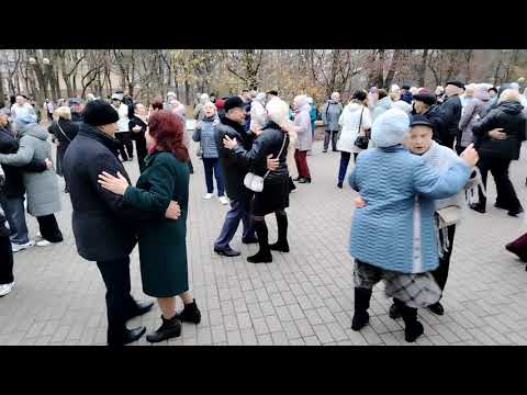 Видео: Танцы в Гомеле. 08.11.2025 г. 