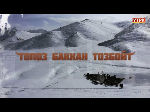 Видео: Топоз баккан тозбойт