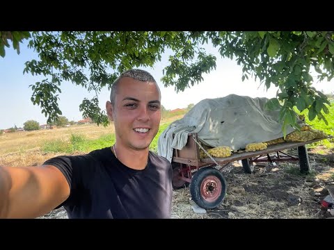 Видео: Продадохме ли ги!?