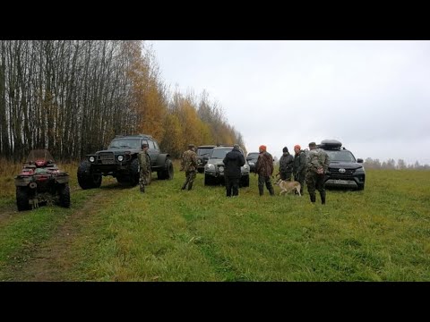 Видео: Тверские состязания ЗСЛ по лосю