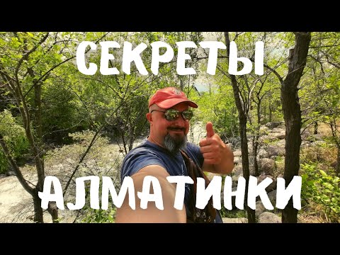 Видео: Все прелести Большой Алматинки! Главная река Алматы! #казахстан #алматы #vanlife