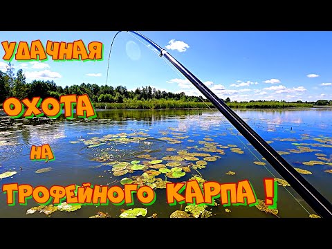 Видео: Ловля БОЛЬШИХ КАРПОВ и САЗАНОВ на ПРОСТУЮ СНАСТЬ ! Рыбалка на УДОЧКУ с БОКОВЫМ КИВКОМ .
