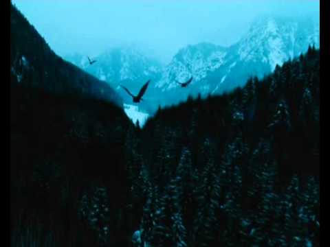 Видео: Эпидемия Чёрный маг