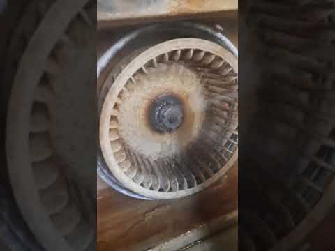 Видео: снятие крыльчатки печи UNOX