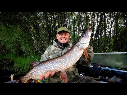 Видео: БЛЕСНЕНИЕ В ОТВЕС /БУЛЯ