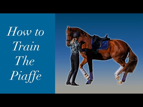 Видео: Как научить лошадь пиаффе