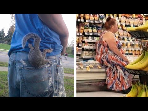 Видео: 50 примеров фантастической наглости!