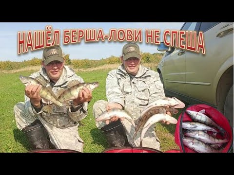 Видео: На рыбалке ТАК! НАШЁЛ БЕРША ЛОВИ НЕ СПЕША!