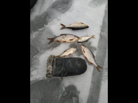 Видео: РЫБАЛКА НА ГОРЬКОВСКОМ ВОДОХРАНИЛИЩЕ - ЗАКРЫТИЕ ЗИМНЕГО СЕЗОНА!