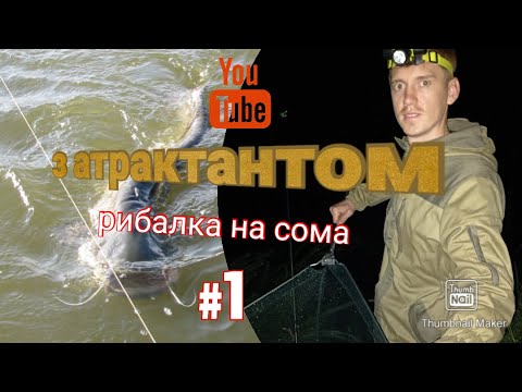 Видео: На що клює сом як ловити сома , та де ловити сома на річці Стир .