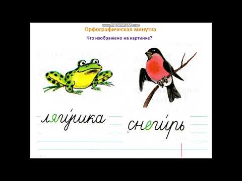 Видео: Правописание слов с безударным гласным в корне слова Повторение