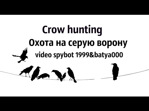 Видео: Russian hunting. Crow hunting. Охота на ворону, сороку. По заводам-огородам.