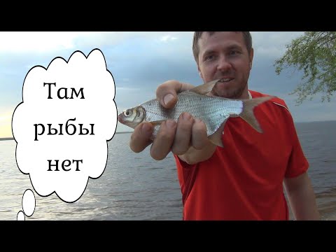 Видео: Рыбалка на фидер. "Там рыбы нет!" - говорили они. /Fishing on the feeder. The son caught the father